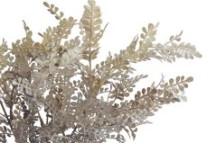 trs s malými lístky - hnědokrémová