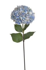 hortenzie s listy 73 cm - modrozelená