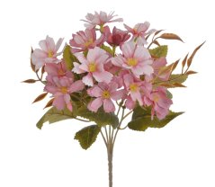 klematis / plamének - trs x 5 - růžová