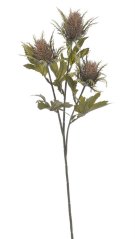 bodlák x3 s listy - hnědá