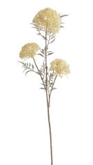 řebříček obecný - krém