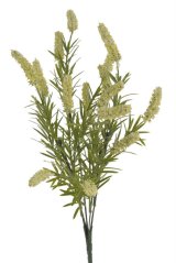 levandule 42 cm - krémová