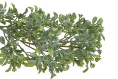 girlanda buxus 180 cm - zelená