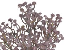 gypsophila 29 cm - starorůžová