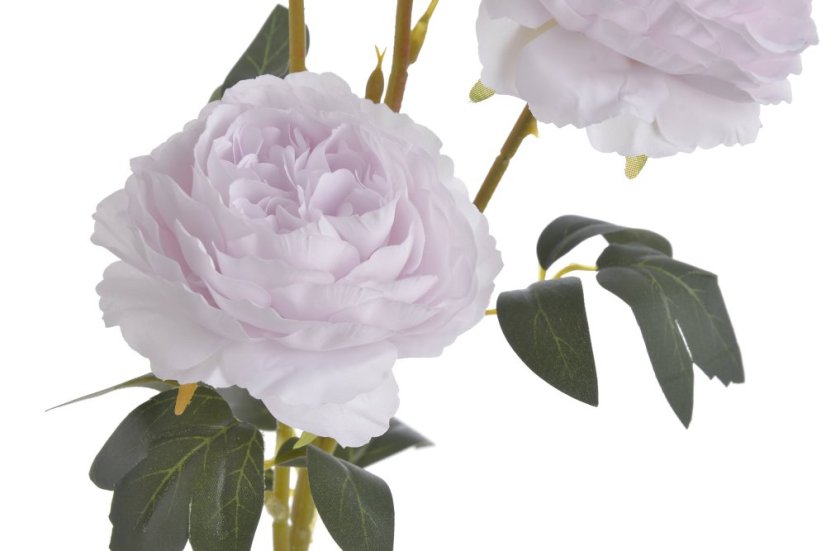 plnokvětá růže 65 cm - světlá fialová