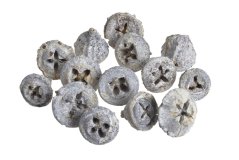 eukalyptus pod (200 g) - frosted white