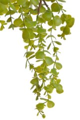 umělý převislý eukalyptus 76 cm
