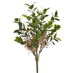 umělý ruscus - zelená