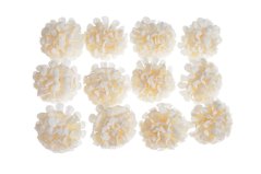 jiřiny - hlavičky (12 ks) - bílá/krém