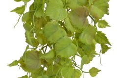 převis  réva 105 cm - zelená