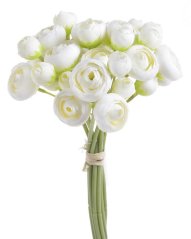 ranunculus svazek x9 - bílá