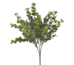 eukalyptus trs x5 - zelená