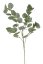 eukalyptus 90 cm - zelená světlá