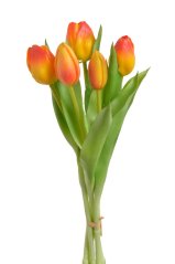 svazek tulipánů (5 ks) - žlutočervená