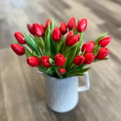 svazek tulipánů (5 ks) - červená