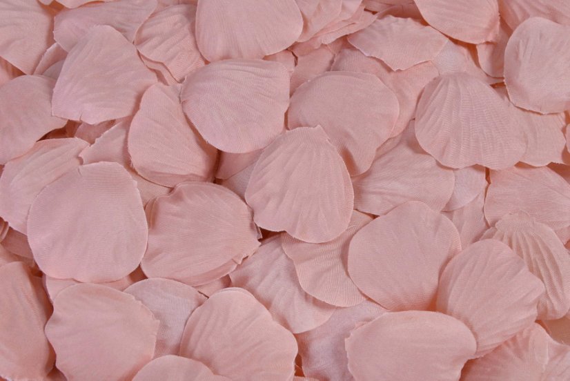 plátky růží (25 g) - pudrová růžová