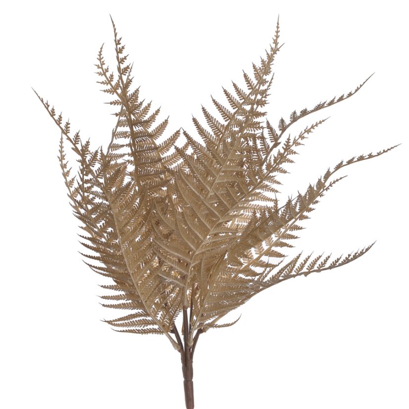 kapradí trs 55 cm - hnědá