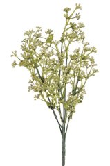kuličky populus x6 - zelená