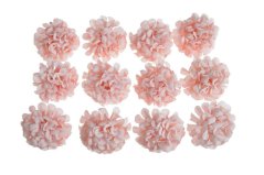 jiřiny - hlavičky (12 ks) - růžová sv.