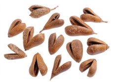 benzo fruit 500 g