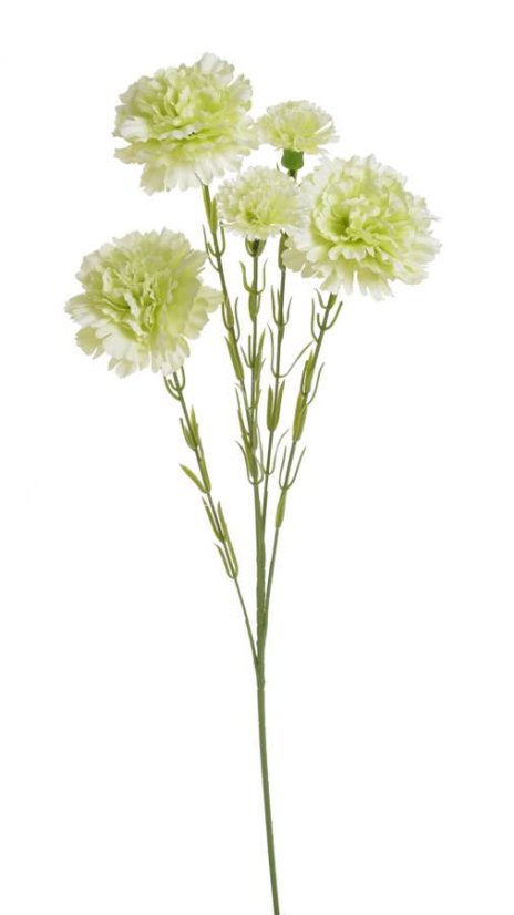 trsový karafiát 61 cm - zelená