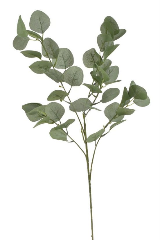 eukalyptus 90 cm - zelená světlá