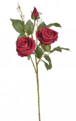 růže 2+1 na dlouhém stonku - červená