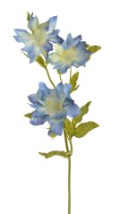 klematis 44 cm - modrá