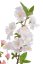větvička sakura 48 cm - růžová světlá