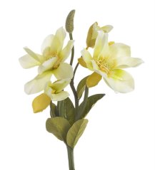 magnólie 31 cm - žlutokrémová