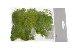moss extra (100 g), islandský mech - sv. zelený