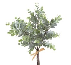 eukalyptus (3 ks)