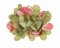 hlavičky hortenzií (12ks) - khaki + růžová