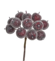 jablíčka cukr na drátku (12 ks) - tm.červená