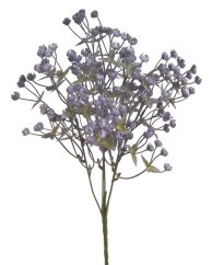gypsophila trs - fialová