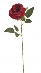 růže na dlouhém stonku - červená