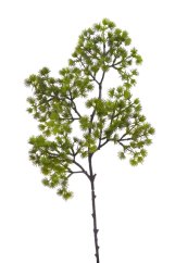 větvička borovice 55 cm