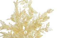 trs s malými lístky - krémová