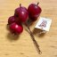 jablíčka na drátku (6 ks) - červená
