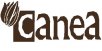 Ranunculusy a Kamélie - barva - oranžová/měděná skladem : umelé kvety, aranžovanie Canea