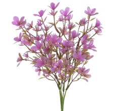 tolije - fuchsiová