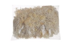 moss extra (100 g), islandský mech - bílý