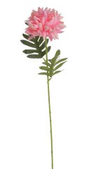 chryzantéma 51 cm - světlá růžová