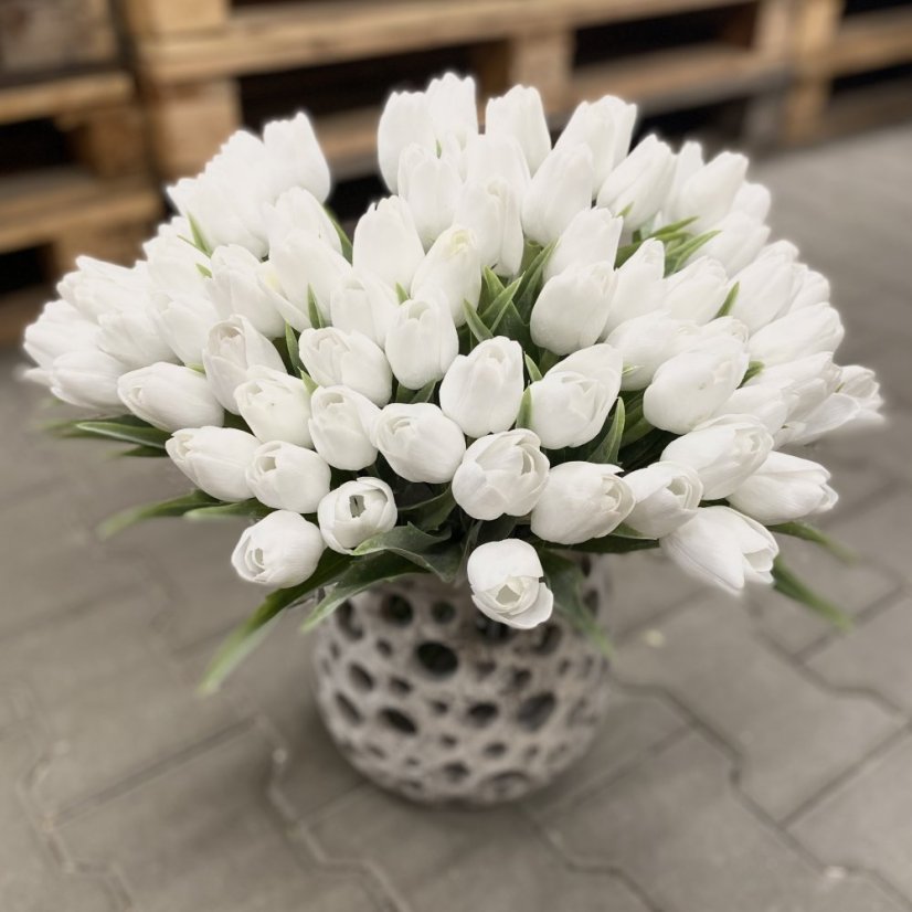 tulipán s listem (6 ks) - bílá