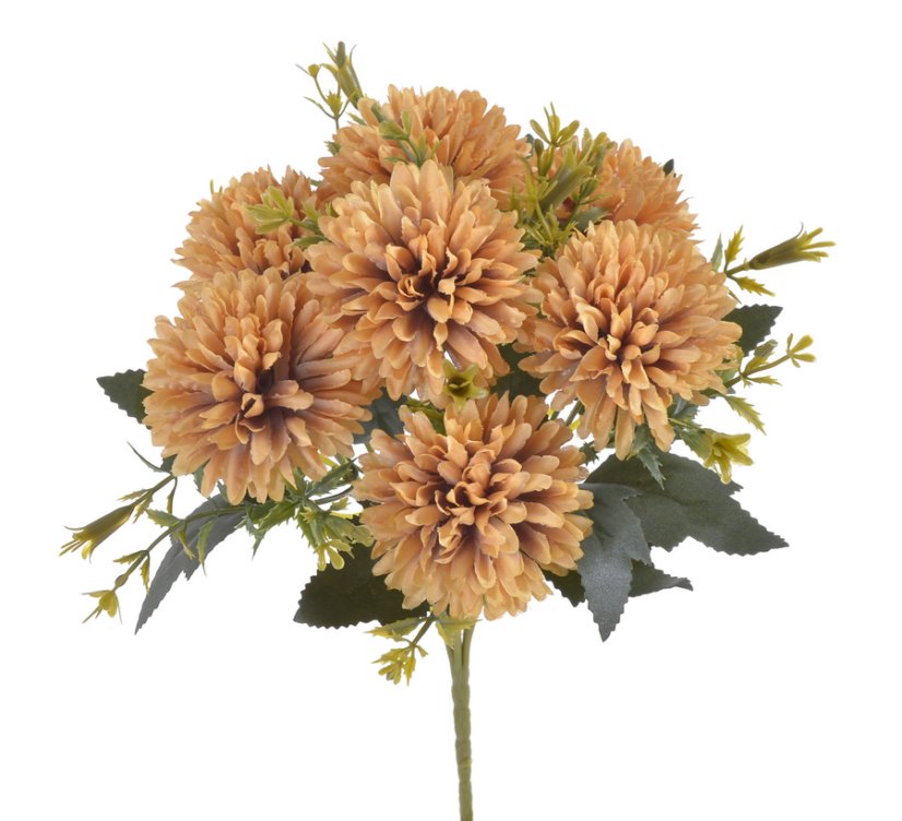 buket chryzantém (7x) - okrová