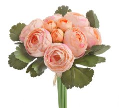 ranunculus svazek x10 - broskvová