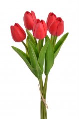 tulipán pěnový (5 ks) - červená