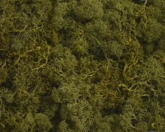 mech islandský (250 g) - olivově zelená