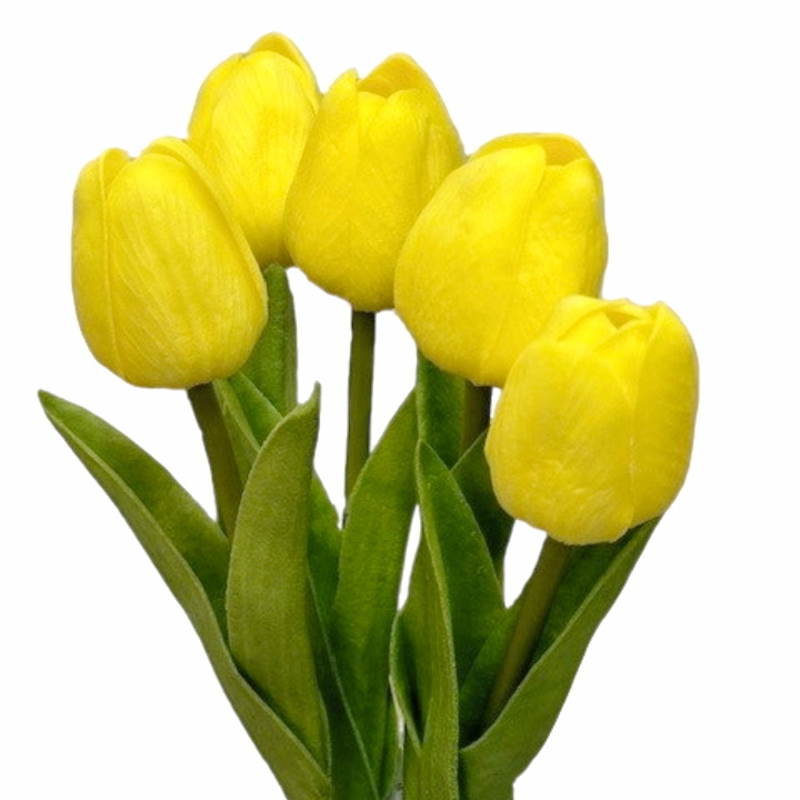 tulipán pěnový (5 ks) - žlutá