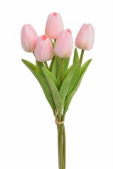 tulipán pěnový (5 ks) - růžová/broskev